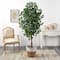6ft. Ficus Artificial Tree with Natural Trunk in Handmade Natural Jute and Cotton Planter